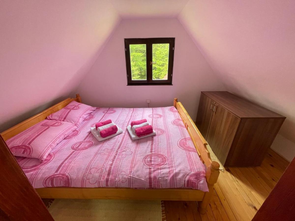 Vila Vikendica na Sokolini Gornja Koprivna Exteriér fotografie